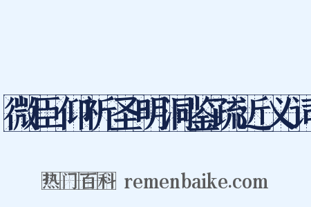 微臣仰祈圣明洞鉴疏近义词是什么意思的图片